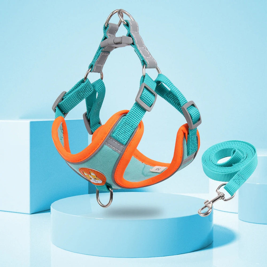 Blue adjustable dog harness and leash set