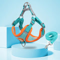 Blue adjustable dog harness and leash set