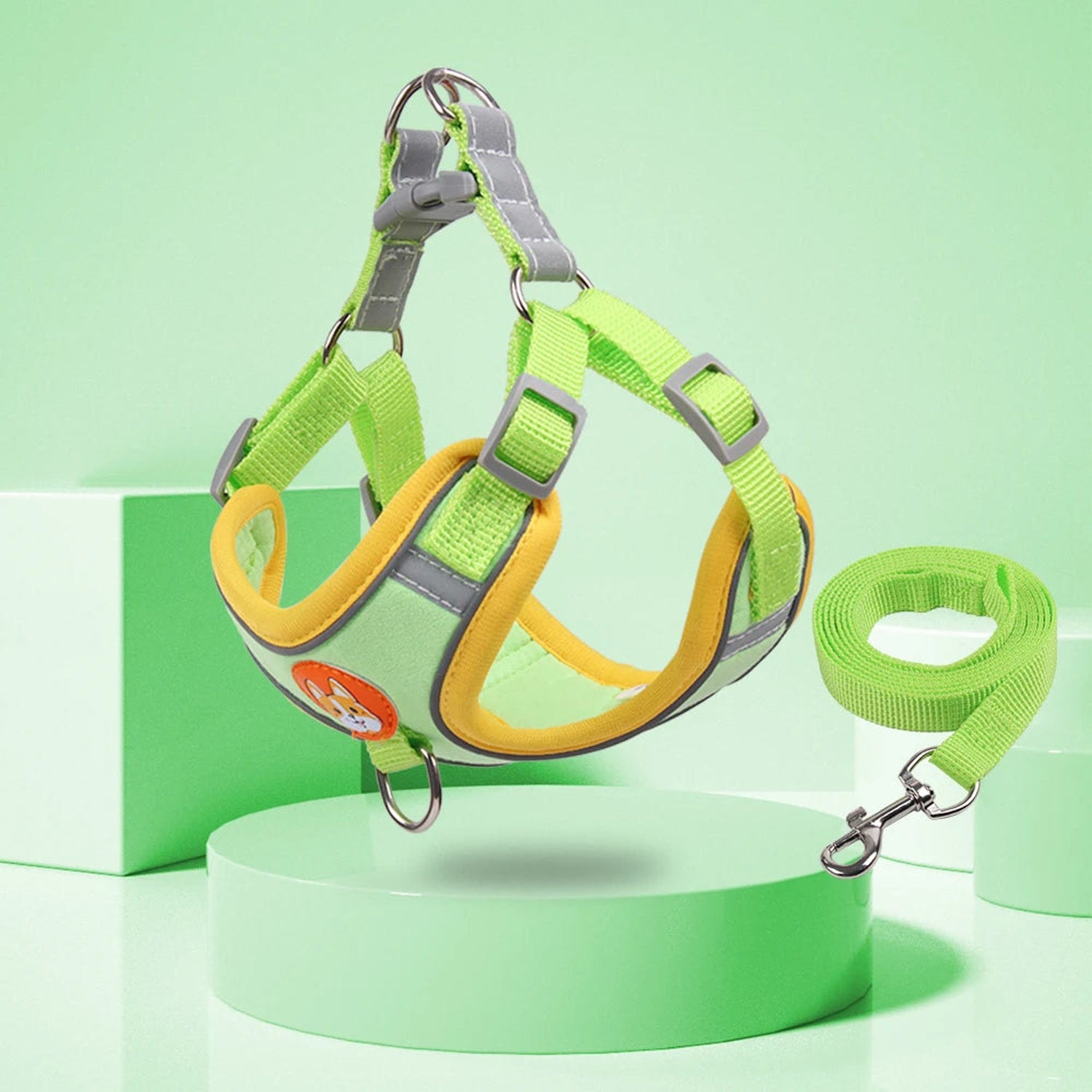 Green adjustable dog harness and leash set
