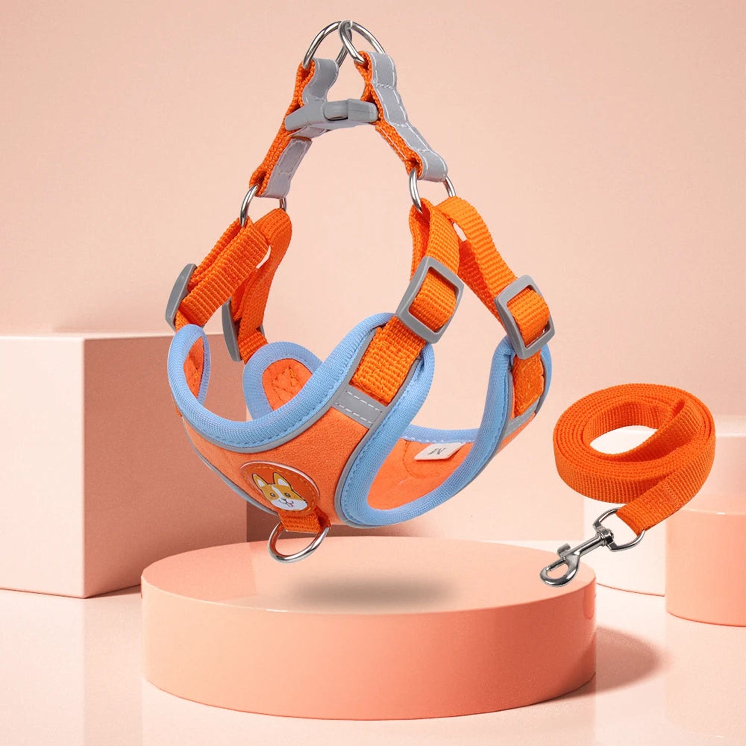 Orange adjustable dog harness and leash set