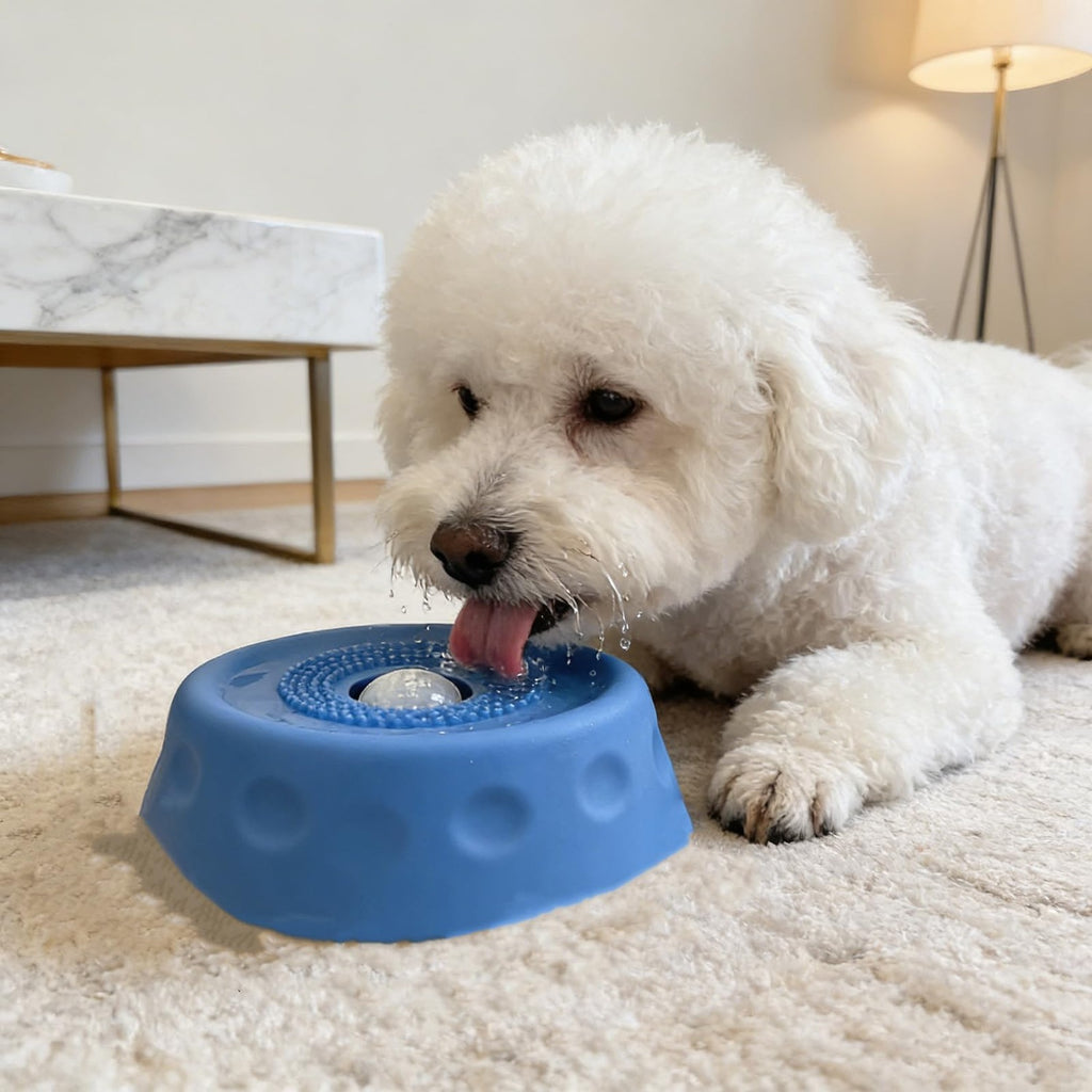 Dog using a blue rolling-ball lick bowl under supervision