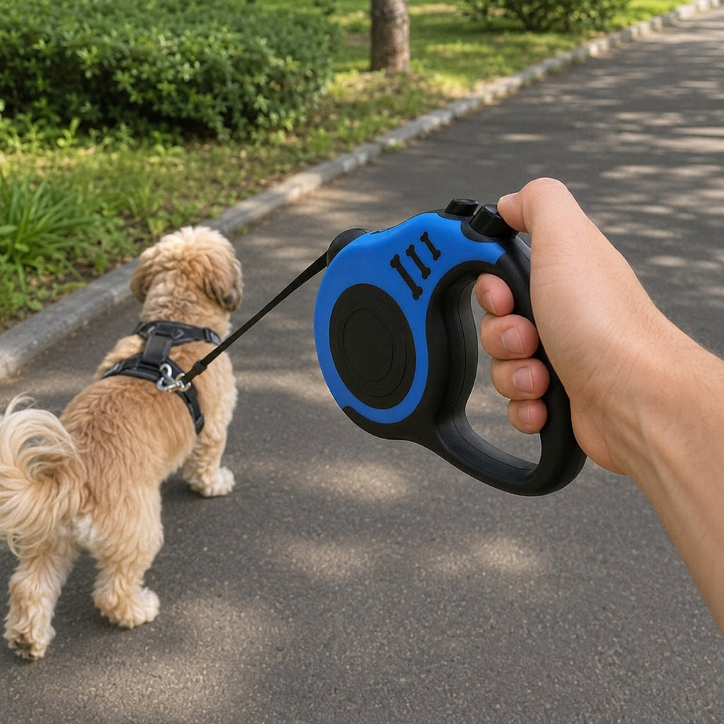 Small dog walking with the Blue retractable leash attached to a harness