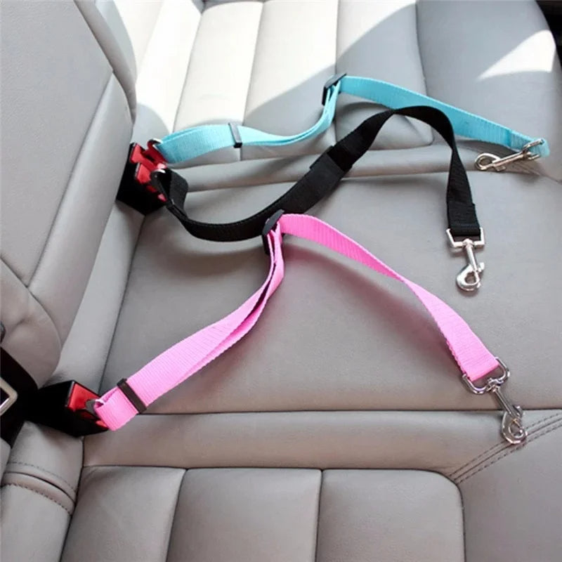 Three colour options of adjustable pet car seat belt tethers connected to rear vehicle seat-belt buckles; one tether included per order