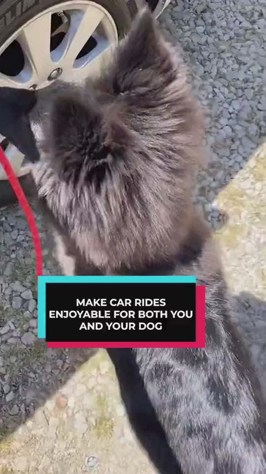 Dog Car Seat Cover demo video