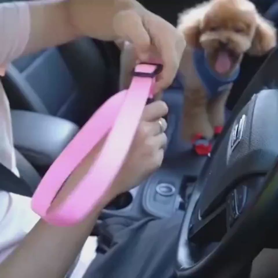Adjustable pet car seat belt tether being attached to a dog harness in a vehicle