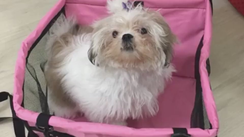 Waterproof dog car seat demo video