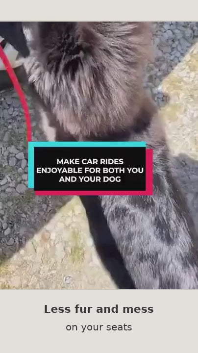 Black dog car hammock seat cover demonstrated in a vehicle