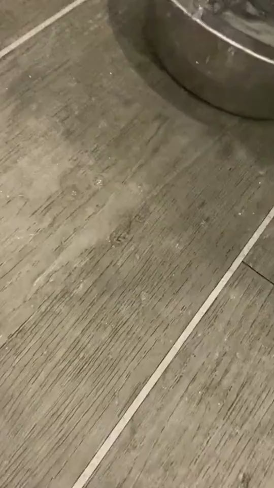 No-spill dog water bowl demo video