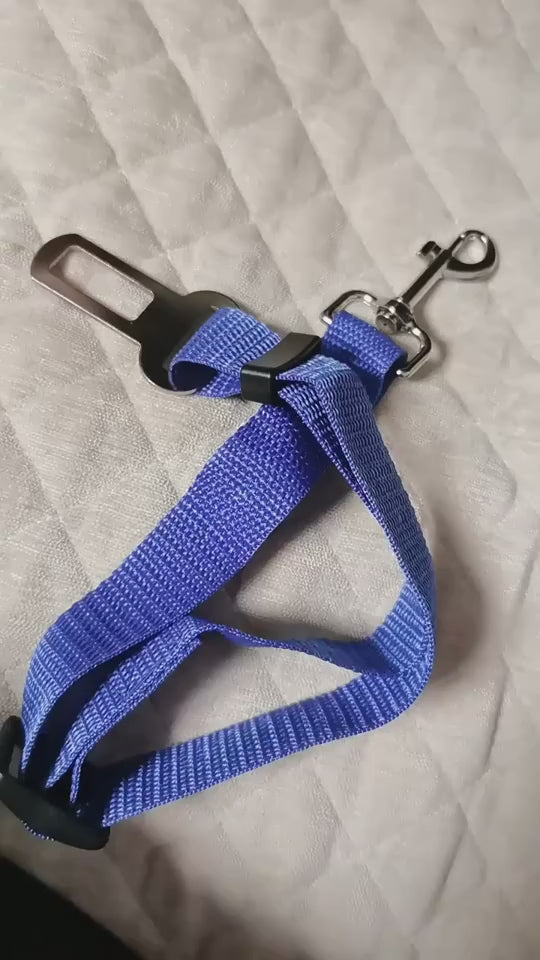 Adjustable pet car seat belt tether demonstrated in a vehicle