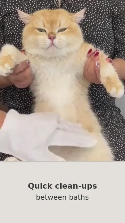 Disposable pet glove wipe demonstrated on a cat for quick between-bath cleaning